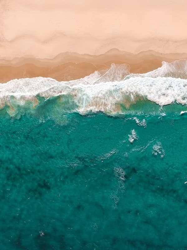 LinkedIn post preview